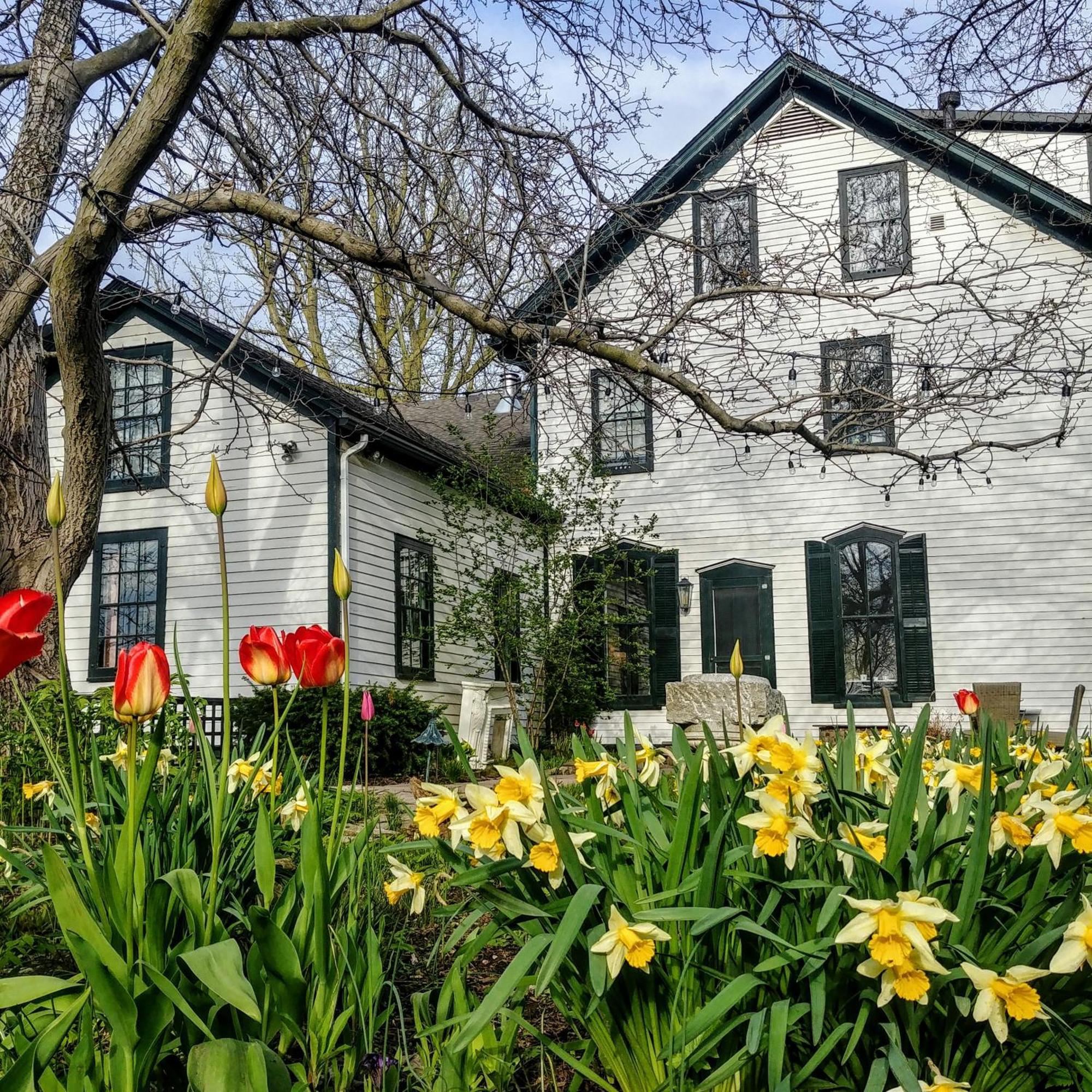 Woodbourne Inn Niagara-on-the-Lake Exteriör bild